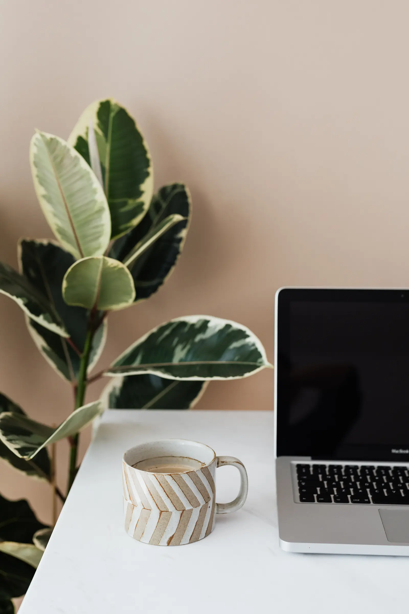 Ordinateur portable posé sur un bureau avec une plante verte et un café